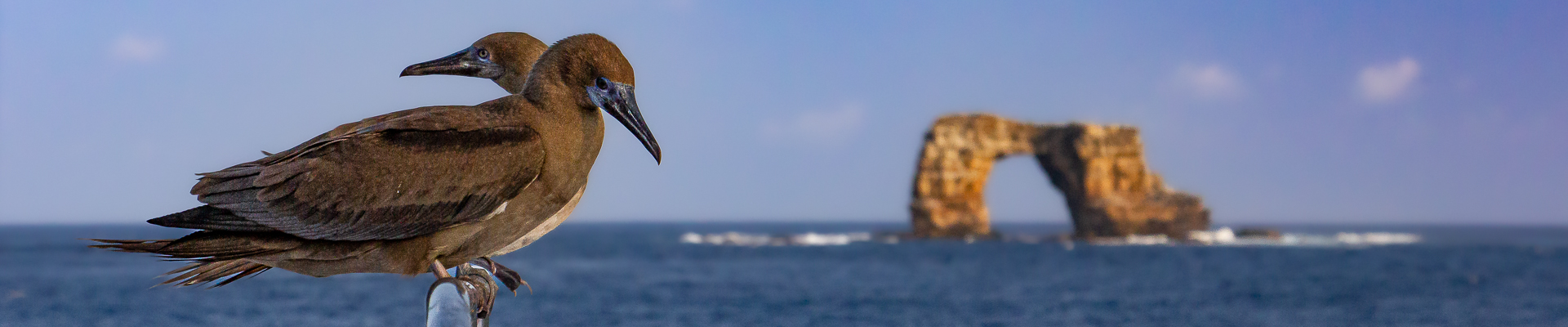 Darwins Arch Galapagos