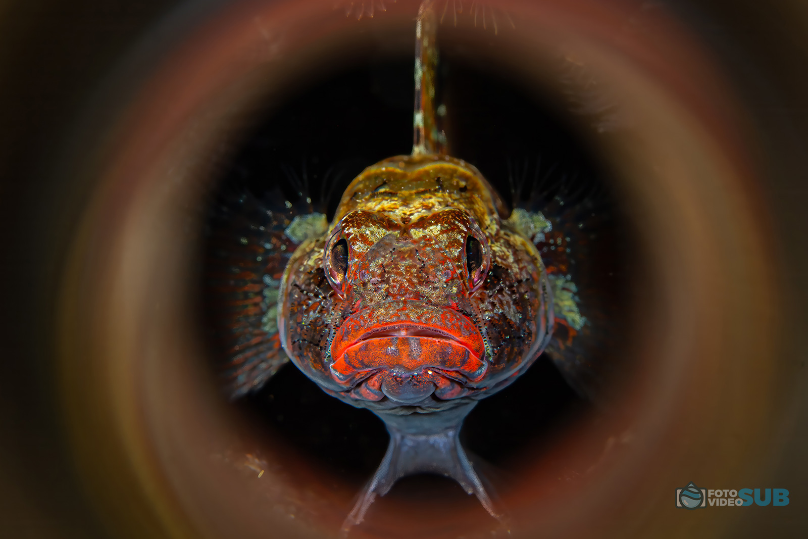 Maquillaje perfecto de Maria Pichlmaier